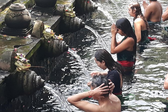 Ubud Waterfall Swing And Spring Temple Private Guided Tour - What the $25 Ubud tour really offers