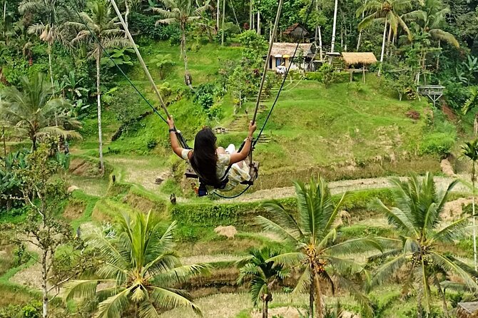 Ubud Waterfall Swing And Spring Temple Private Guided Tour - Viewing Tegalalang Rice Terrace
