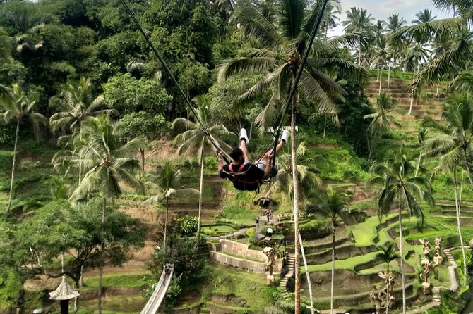 Ubud Waterfall Swing And Spring Temple Private Guided Tour - Why the private guide matters