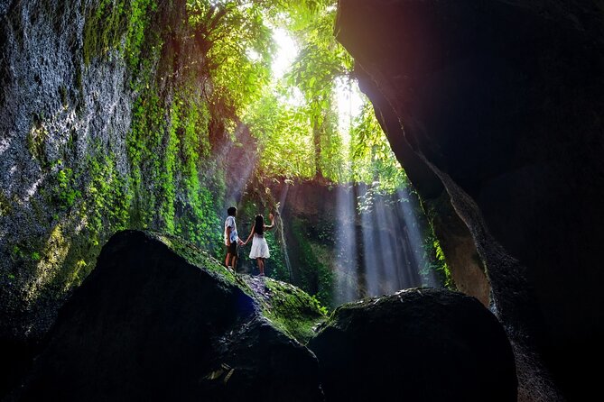 Ubud Waterfalls and Rice Terraces Private Day Tour - Why the Private Vehicle Matters