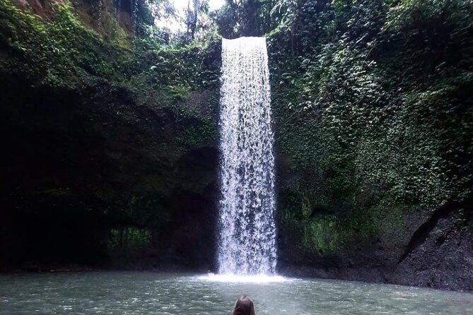 Ubud Waterfalls, Rice Terrace & Jungle Swing - Private Tour - Five useful things to know before booking