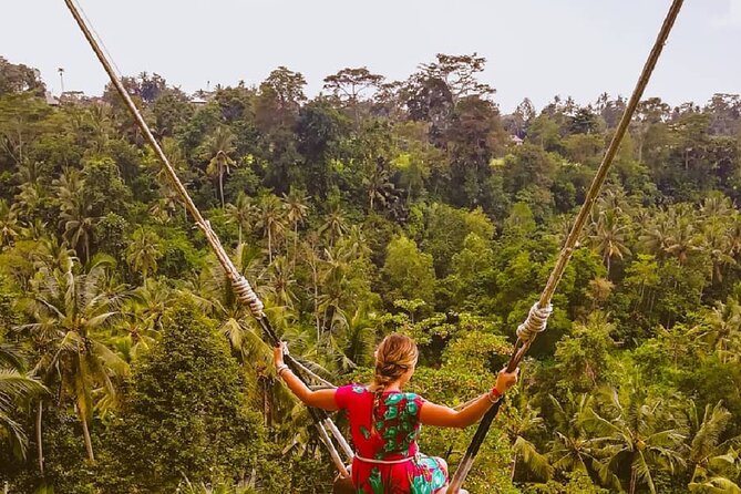 Ubud Waterfalls, Rice Terrace & Jungle Swing - Private Tour - Tegalalang Rice Terrace: Bali’s famous green steps