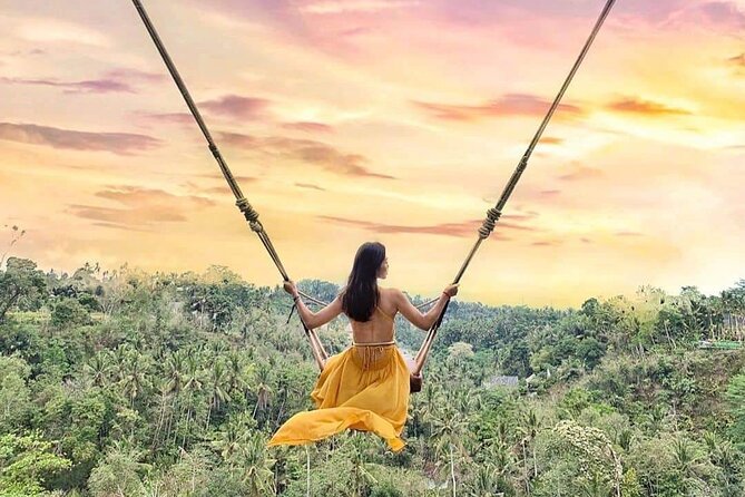 Ubud Waterfalls, Rice Terrace & Jungle Swing - Private Tour - Who will get the most from this day
