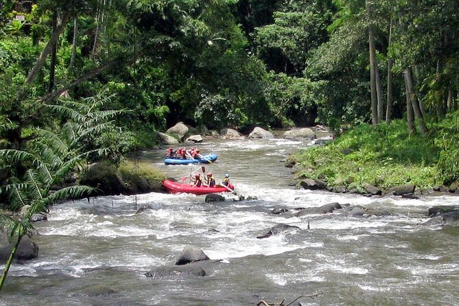 Ubud White Water Rafting with Waterfall and Lunch - Waterfalls, swimming, and the playful parts