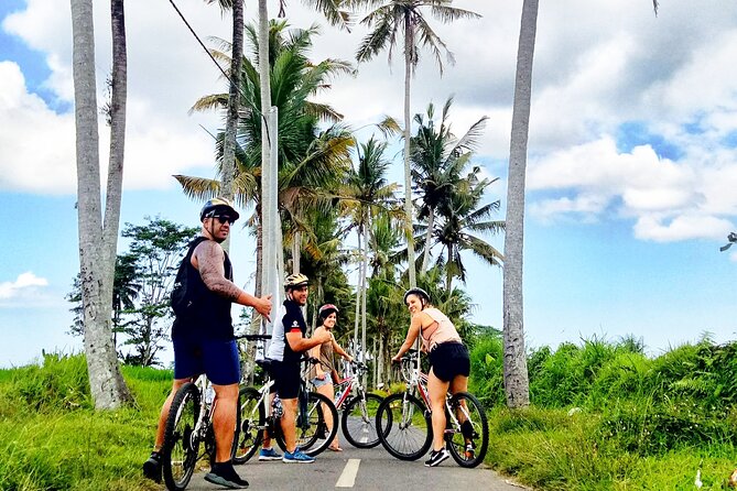 Ubud Wonderful Half Day Downhill Cycling Tour with Lunch - Who should book this cycling morning