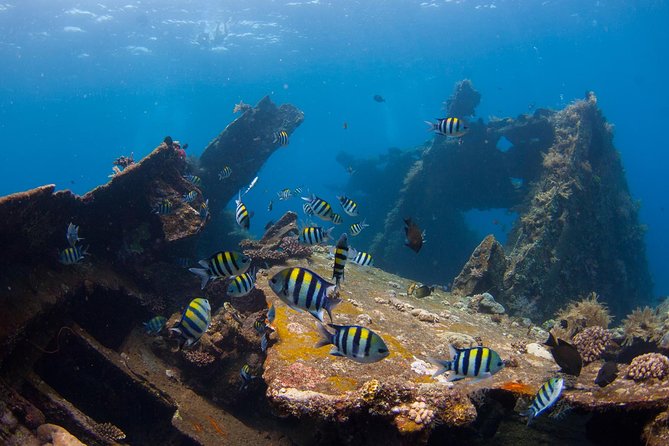 USS Liberty Shipwreck Scuba Diving at Tulamben Bali - What the 8 a.m. pickup really means