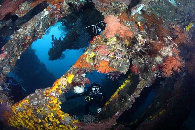 USS Liberty Shipwreck Scuba Diving at Tulamben Bali - The first 35-minute session: getting oriented