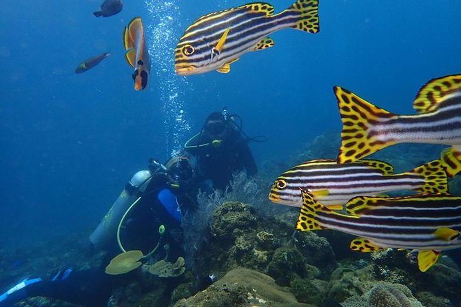 USS Liberty Shipwreck Scuba Diving at Tulamben Bali - Lunch and the pause between sessions