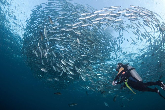 USS Liberty Shipwreck Scuba Diving at Tulamben Bali - The guides make the difference