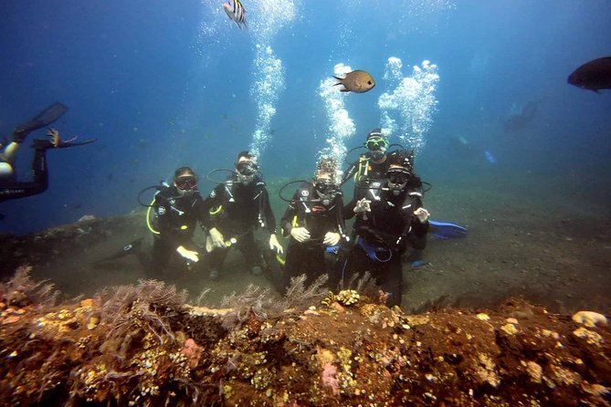 USS Liberty Shipwreck Scuba Diving at Tulamben Bali - Is $109.50 fair for a full-day outing?