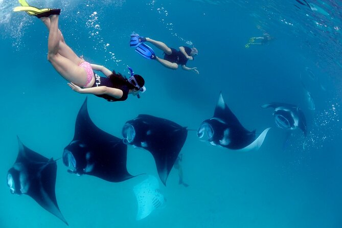 VIP Private Boat to Nusa Penida: Snorkeling with Mantas + Land Tour Adventure - Should you book this Nusa Penida tour?