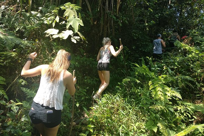 volcano hike and jungle trekking adventure - Tropical forest and the climb toward the crater