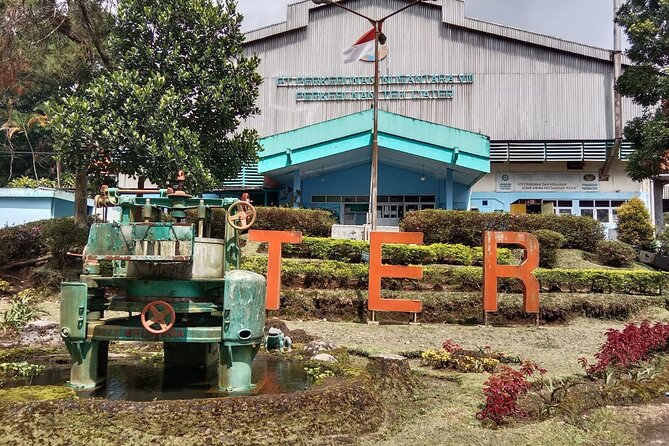 Volcano, Hot Spring, Tea Factory, rice fields and Coffee Tour - Rice fields and village life near Subang