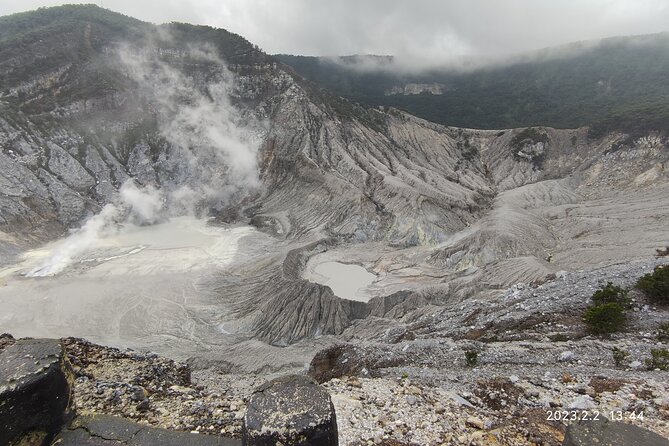 Volcano, Hot Spring, Tea Factory, rice fields and Coffee Tour - A quick taste of West Java fruit