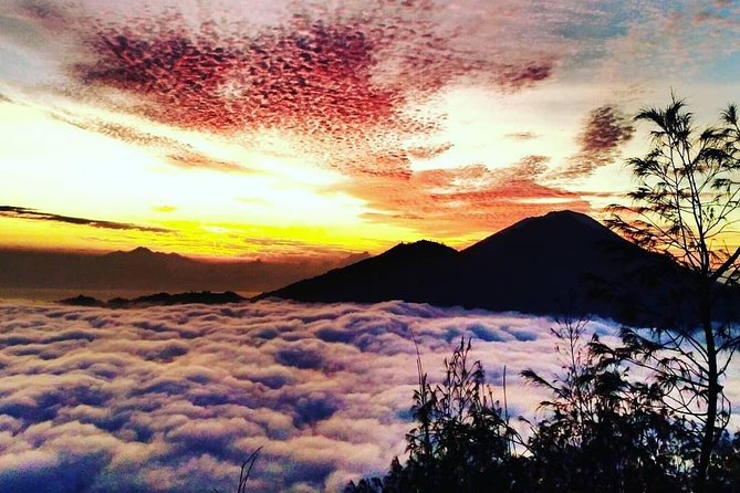 Watch the sunrise from the top of Mount Batur volcano - Coffee, transport, and the long return