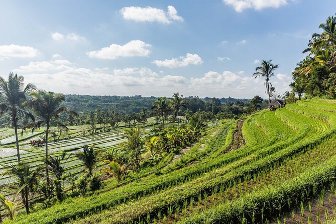 West Bali Tour: Taman Ayun, Ulun Danu Beratan, Jatiluwih Rice Terrace, Tanah Lot - Tanah Lot and the sunset finale