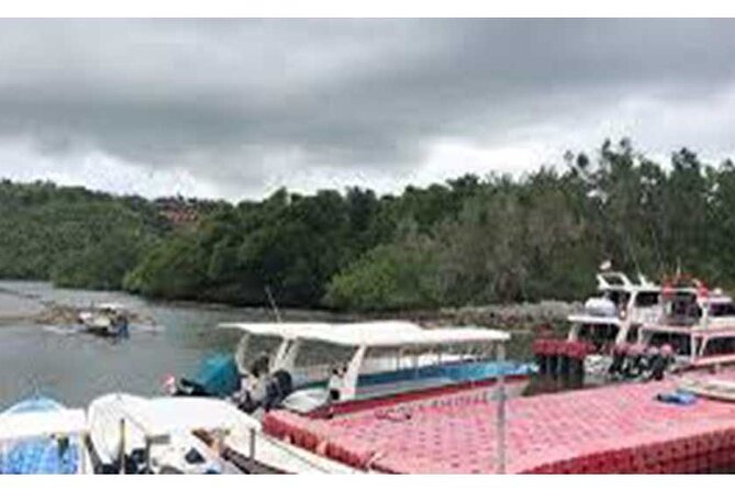 West Nusa Penida Full-Day Private Tour - Angel’s Billabong and Broken Beach: two nearby spectacles