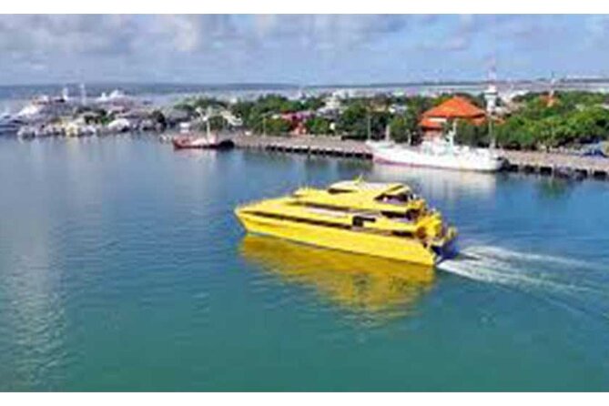 West Nusa Penida Full-Day Private Tour - The roads, heat, and practical comfort