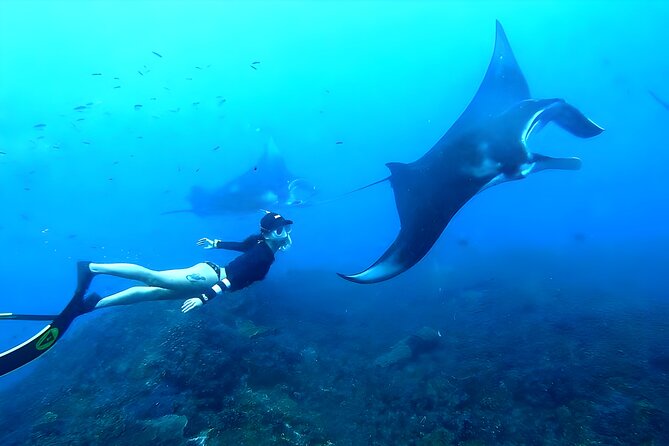 Pinada Island West Nusa Penida Island Snorkeling Tour – From Bali Island ...