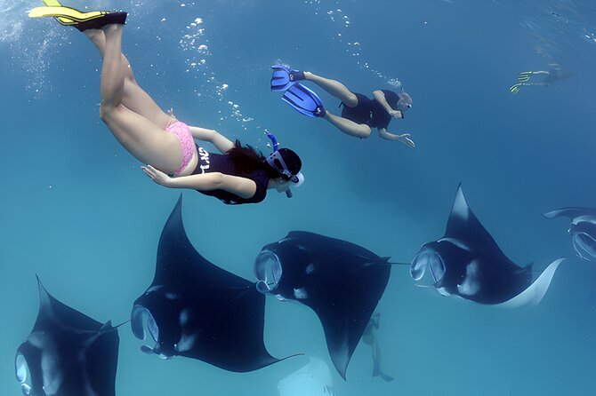 Pinada Island West Nusa Penida Island Snorkeling Tour – From Bali Island ...