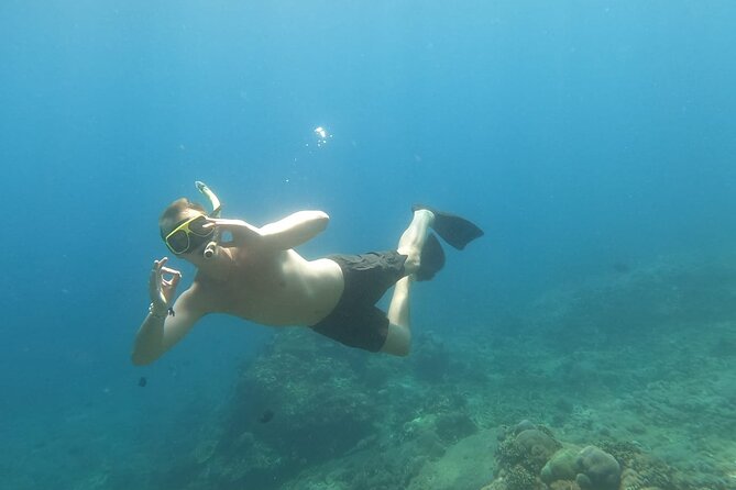 West Nusa Penida With Snorkeling Private Guided Tour - Gamat Bay: coral, fish, and a hands-on moment