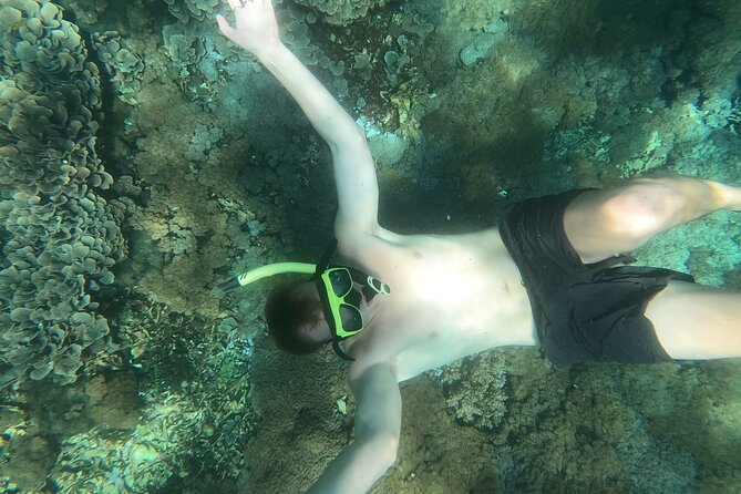 West Nusa Penida With Snorkeling Private Guided Tour - Crystal Bay: the turtle possibility