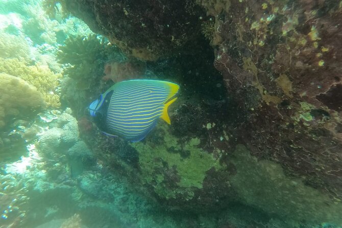 West Nusa Penida With Snorkeling Private Guided Tour - Kelingking Beach: the photo stop everyone knows