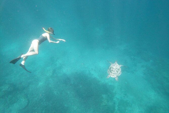 West Nusa Penida With Snorkeling Private Guided Tour - The early transfer from Seminyak to Sanur