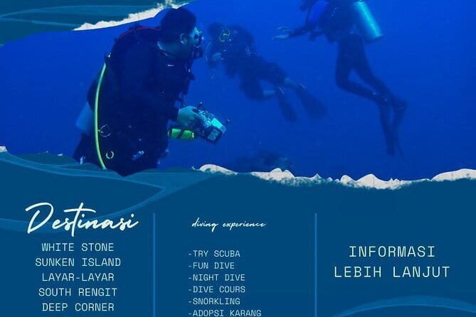 Whale Shark Adventure 2 Days 1 Night Sharing Trip - What is included, and what will cost extra