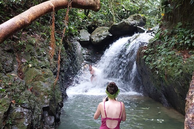 Wonderful 2Days 1Night Bukit Lawang Jungle Trekking Free Rafting - Watching for orangutans and monkeys