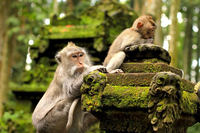 Wonderful Of Ubud Tours - Why the private vehicle is worth the price