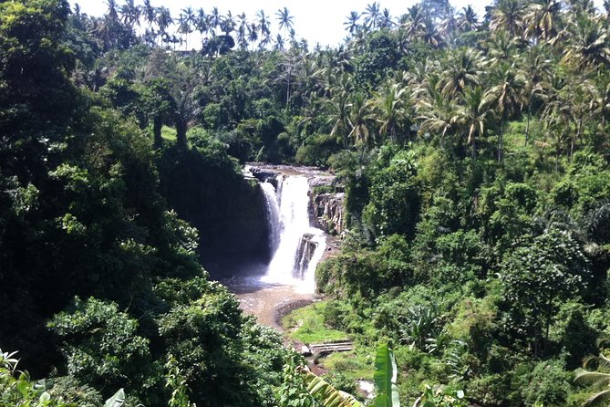 Wonderful Of Ubud Tours - What the day feels like in practice