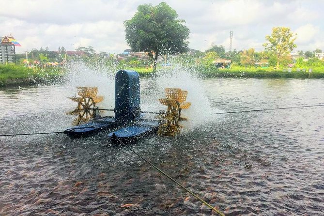 Yogyakarta Cycling Tour Around the Villages and Fish Farm - The guide can shape the whole ride
