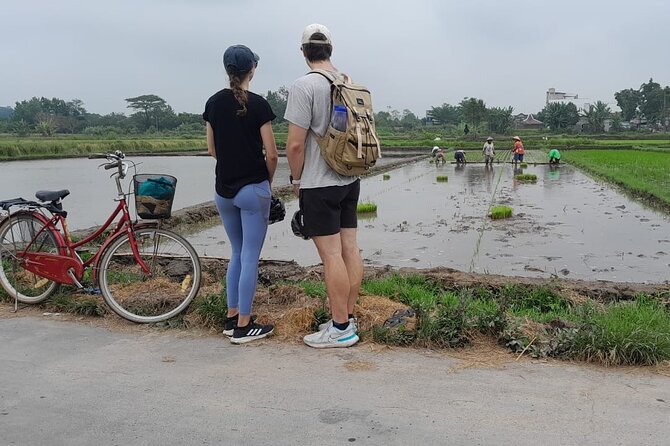 Yogyakarta Cycling Tour Around the Villages and Fish Farm - Who should book this countryside ride